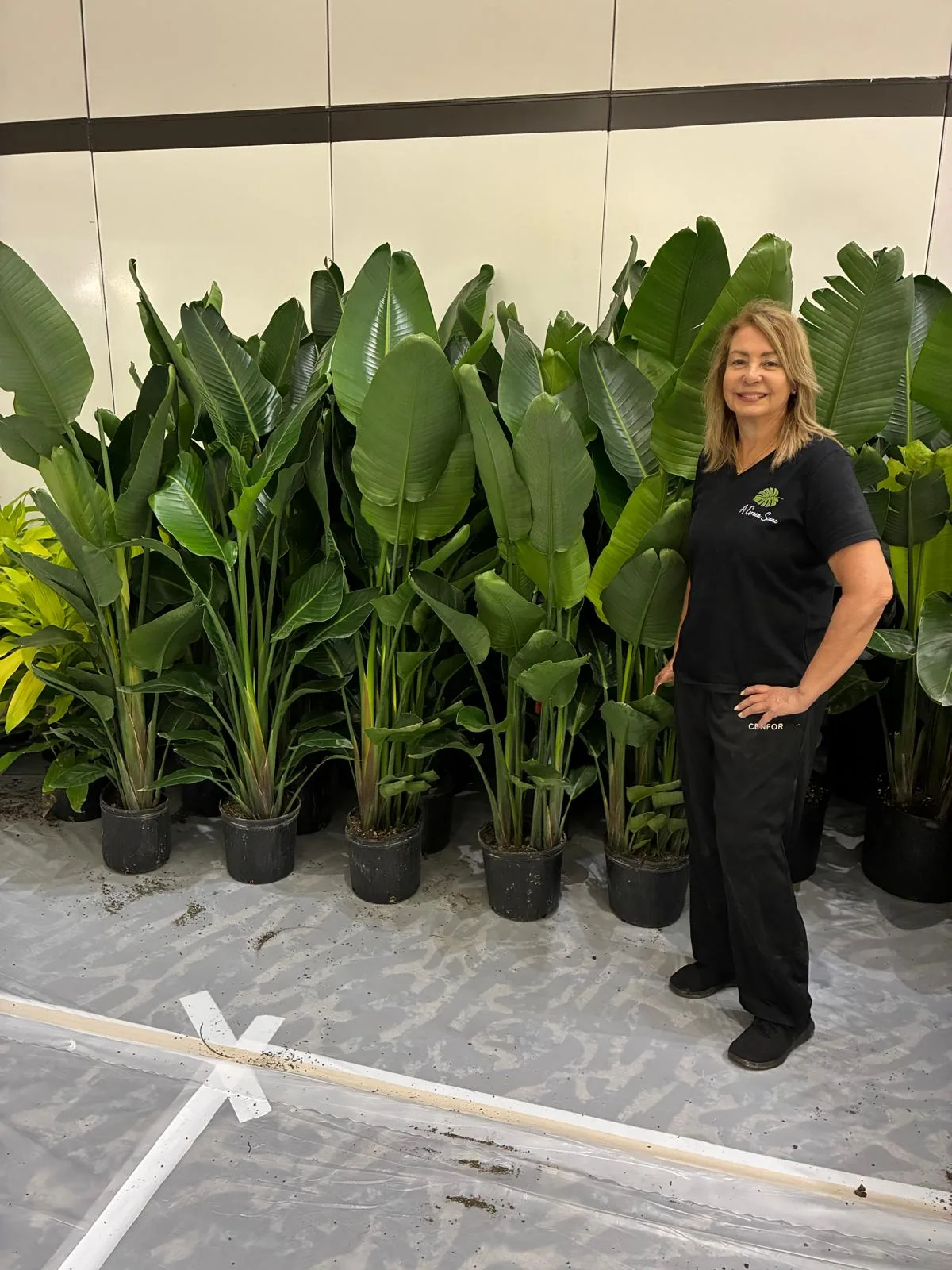 Tropical plant styling by A Green Scene at a South Florida event in Aventura